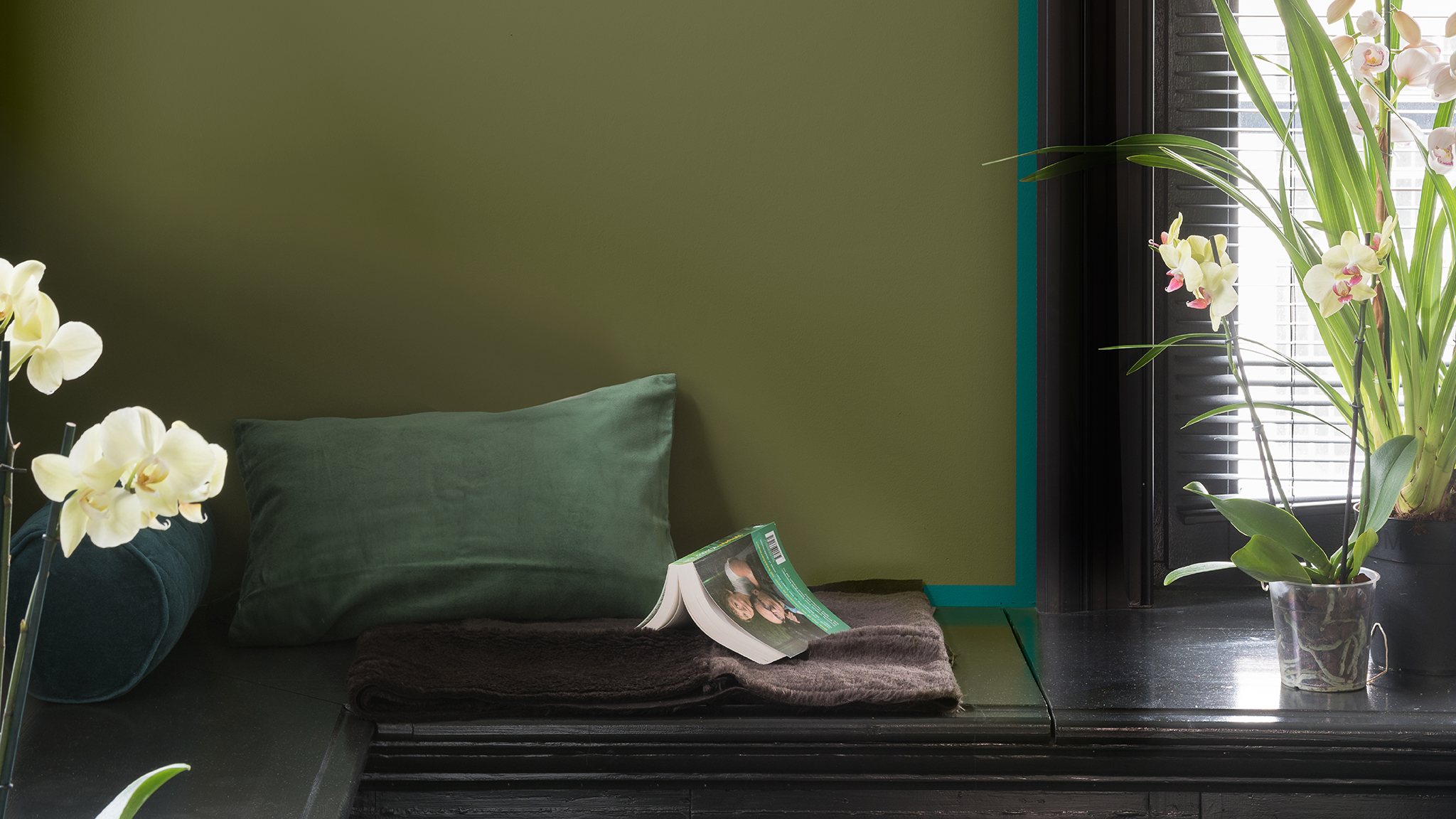 Vert sur vert Utilisez deux teintes naturelles pour créer une décoration originale. Le turquoise moderne et le vert olive créent un style moderne et unique.