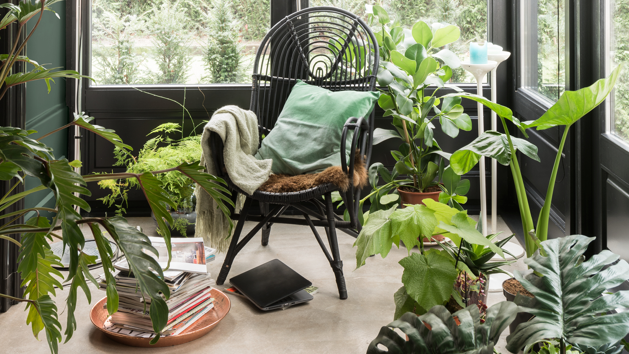 Une pièce lumineuse ornée de plantes Les motifs botaniques, textiles naturels et matières organiques adoucissent l'ambiance de votre intérieur.